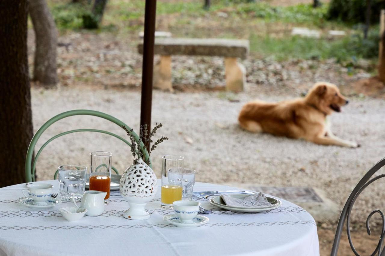Petra - Country House Monteroni di Lecce Dış mekan fotoğraf