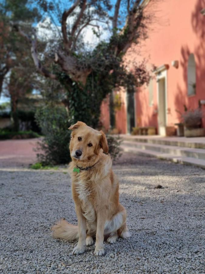 Petra - Country House Monteroni di Lecce Dış mekan fotoğraf
